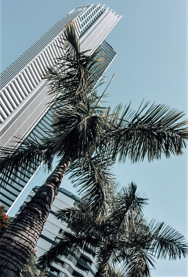 Beach Days and the Q1 Tower in Surfers Paradise – Australia Travel Diary