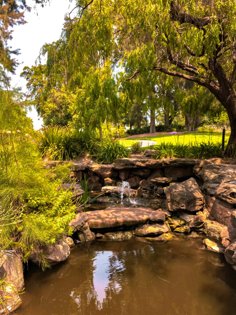 Himeji Garden in Adelaide