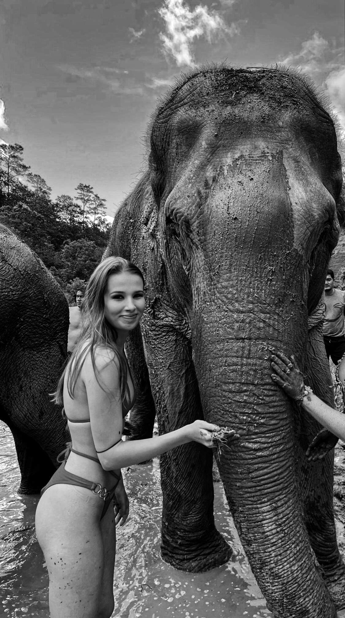 Jungle trekking and playing with elephants in Chiang Mai – Thailand Travel Diary