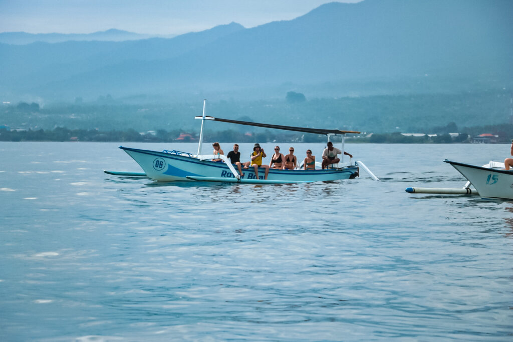 Dolphins in Lovina