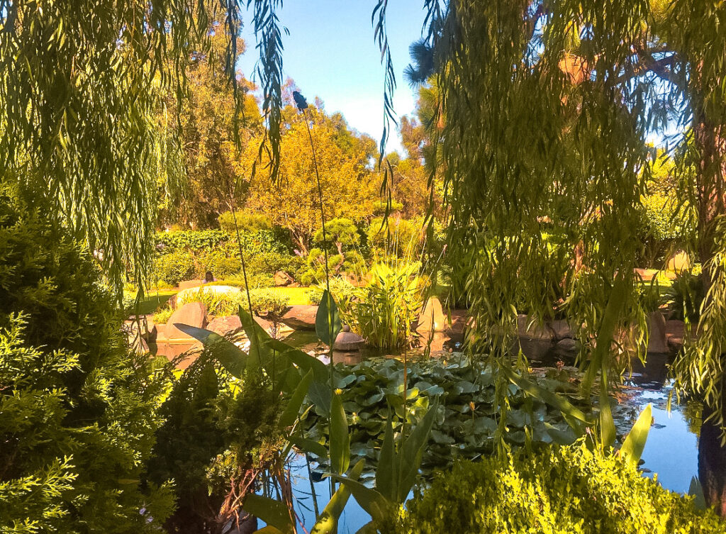 Botanical Garden in Adelaide