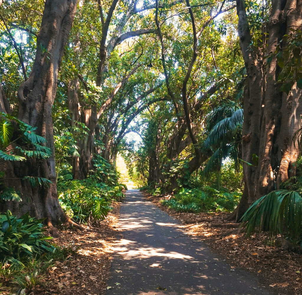 Botanical Garden in Adelaide