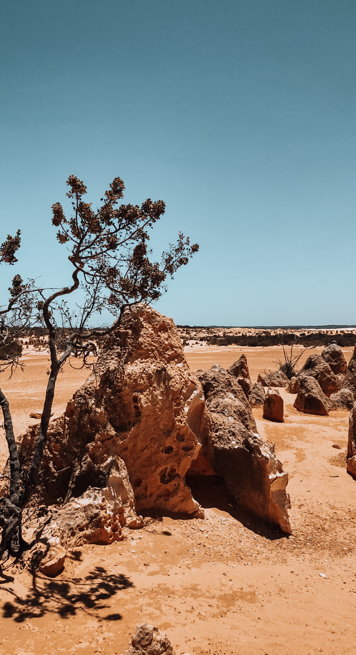 Exploring the Pinnacles Desert in Cervantes – Australia Travel Diary
