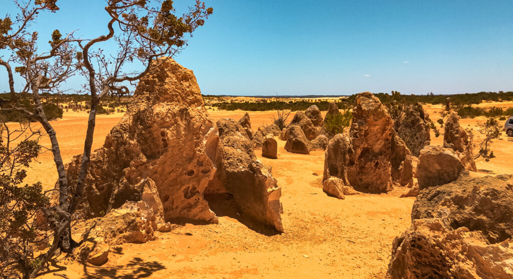 Pinnacles Desert in Cervantes