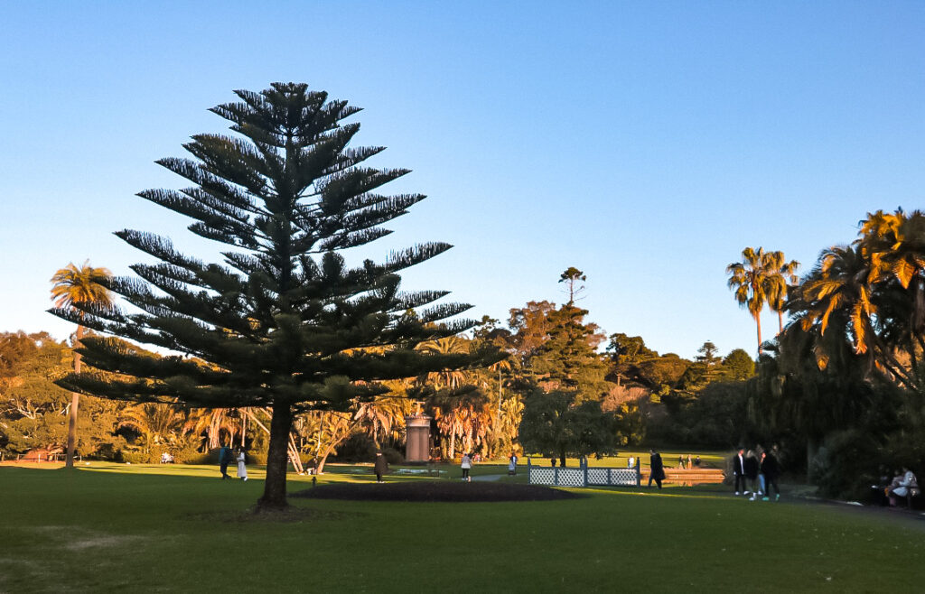 Royal Botanic Garden in Sydney