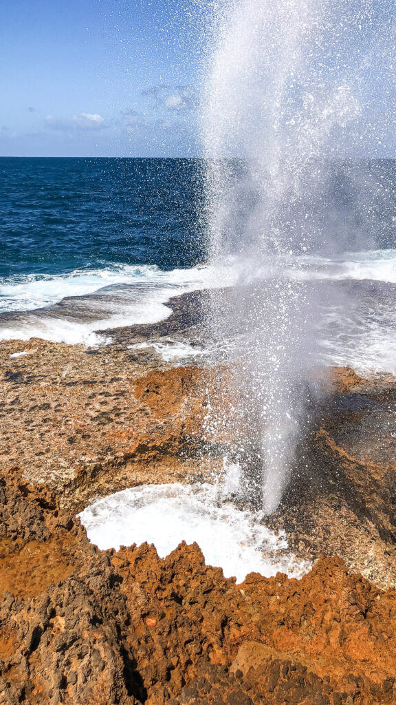 Blow Holes on the West Coast of Australia