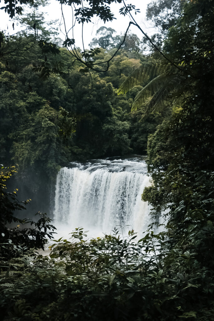 Tad Champee Waterfall