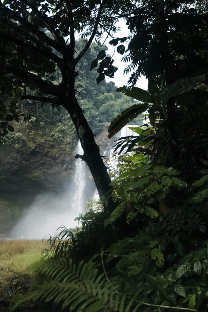 Tad Itou Waterfall