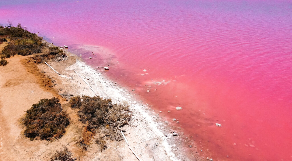 Pink Lake on the West Coast of Australia