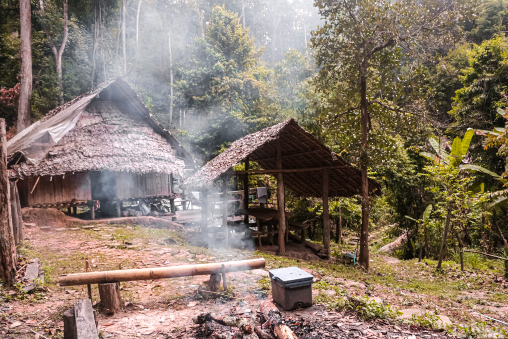 Jungle Experience in Chiang Mai in Thailand