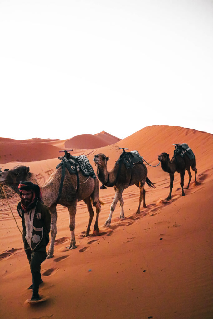 Solo Female Travel in Morocco